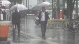 13日は富士五湖を中心に強い雨　峠を越えてあすは中・西部中心に夏日を予想|TBS NEWS DIG