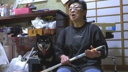 「わぁー!なめんなよーっ!」　80歳女性が”大声”で撃退　愛犬を追いかけ、網戸破り侵入してきた体長1m超のクマもタジタジ　驚いて逃げる　岩手・釜石市|TBS NEWS DIG