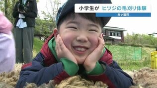 衣替えのお手伝い　おそるおそるバリカンを手にして…　小学生が羊の「毛刈り」体験　|　熊本のニュース｜RKK NEWS｜RKK熊本放送
