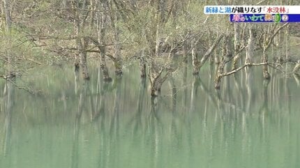 春のいわて探訪】②この時期にだけ出現！まさに「天空の鏡」 錦秋湖の