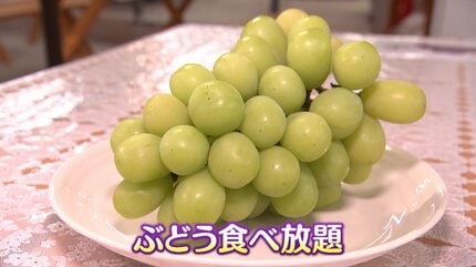 岡山の味覚 “シャインマスカット” 食べ放題 美作市の農園で大人気