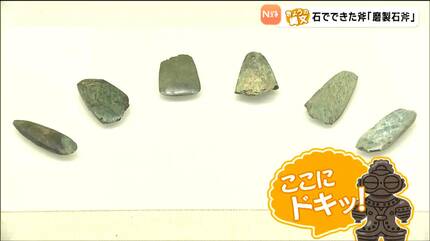 打撃に強い鉱物「ネフライト」でつくられた「磨製石斧」令和の今なら