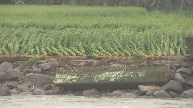 台風10号被害の弁護士の無料相談会　生活再建へ向け法的アドバイスや自治体の窓口紹介　大分|TBS NEWS DIG