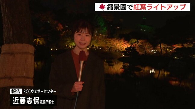 例年より遅れて色づき　紅葉ライトアップ　広島市の縮景園で　12月1日まで|TBS NEWS DIG