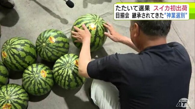 「ポンポン…1！ポンポン…3！」ベテランが“神業選別”　夏の味覚「スイカ」の出荷始まる　青森県鰺ヶ沢町|TBS NEWS DIG