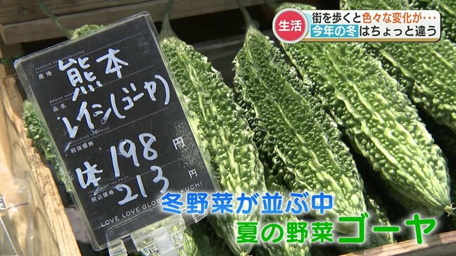 九州各地で暖冬傾向　3月並みの気温続く　店には夏の野菜ゴーヤが並ぶ異様な光景　|TBS NEWS DIG