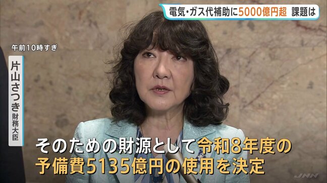 夏の電気・ガス料金支援 今年度予備費から5135億円支出を閣議決定　出口戦略が喫緊の課題|TBS NEWS DIG