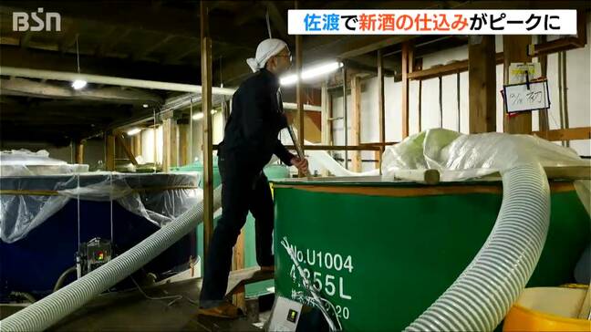 「金山観光の際は地酒もぜひ楽しんで」世界遺産の島で新酒の仕込みが最盛期　新潟・佐渡|TBS NEWS DIG