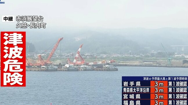 60センチの津波を観測した岩手・久慈市から中継　30日午後1時40分|TBS NEWS DIG