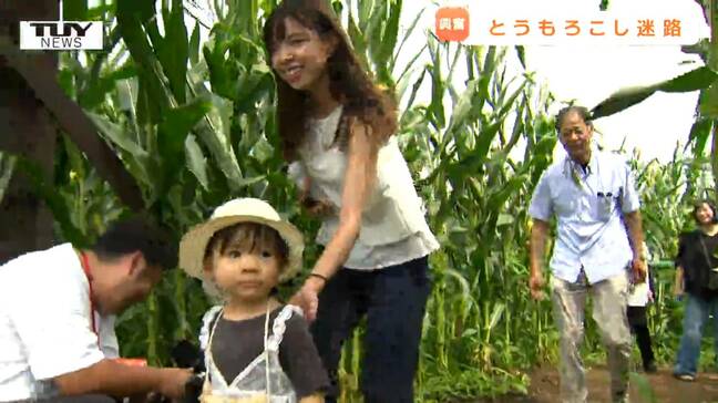 迷路の途中には "あるもの" が! 月山高原に "とうもろこし" を使った巨大迷路!(山形)|TBS NEWS DIG