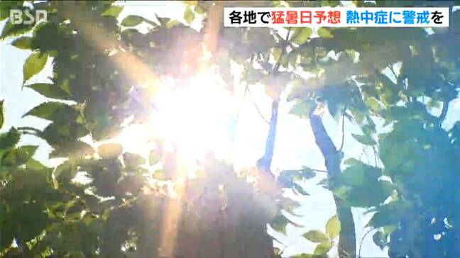 「きのうよりも蒸し暑くて」午前中から35℃以上の猛暑日の地点も　新潟県内には12日連続で『熱中症警戒アラート』|TBS NEWS DIG