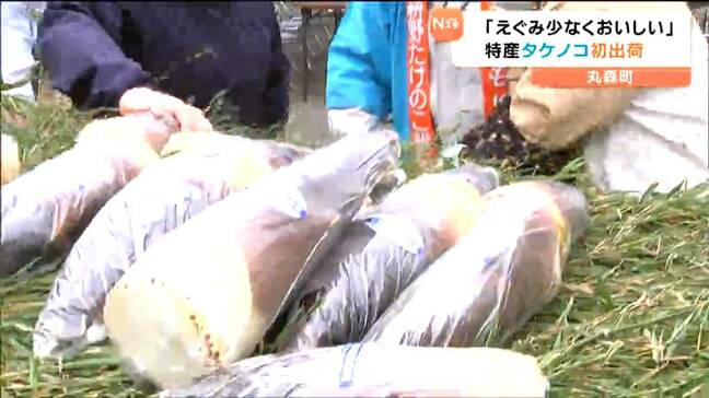 「えぐみ少なく柔らかい」特産のタケノコ初出荷　今年は“裏年”も1万本出荷目標　宮城・丸森町|TBS NEWS DIG