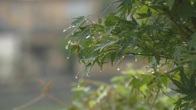 前線などの影響で加賀地方では雷を伴う激しい雨見込み 金沢市の歩行者専用道路では石積みののり面が崩落|TBS NEWS DIG