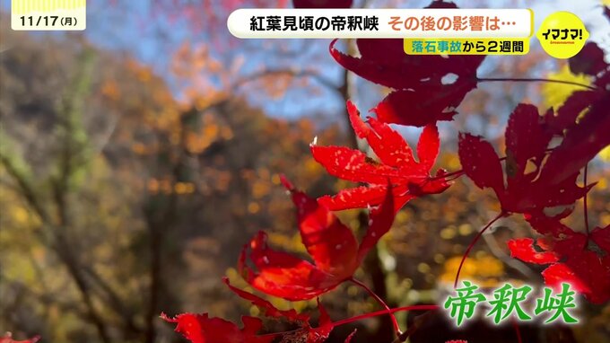 帝釈峡が鮮やかに色づく　落石事故で一部通行止めも　遊歩道や遊覧船でゆったり紅葉狩り「ぜひ多くの人に来てほしい」|TBS NEWS DIG