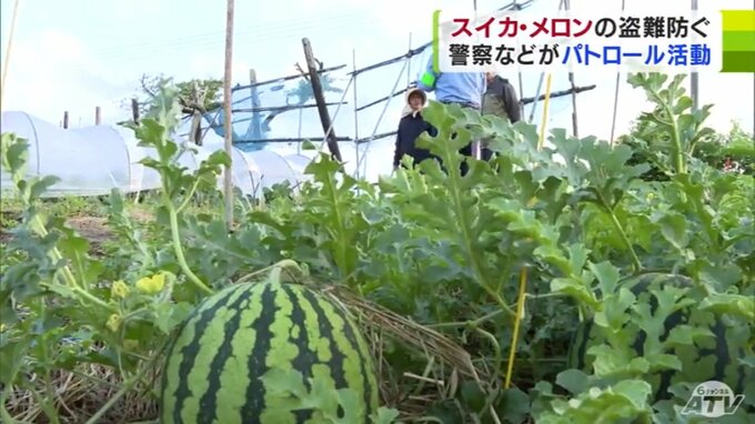 夏の味覚の盗難防げ！　スイカ・メロンの名産地で「盗難防止パトロール」始まる「不審な人や車を見かけたら警察署に連絡を」　|　青森のニュース│ATV NEWS│青森テレビ