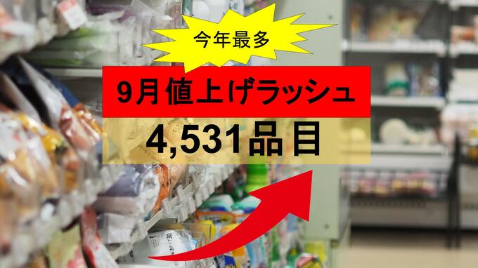 【今年最多】9月は値上げラッシュ…4500品目超、前年比3.1倍　8月中に買っておくべきものリスト|TBS NEWS DIG