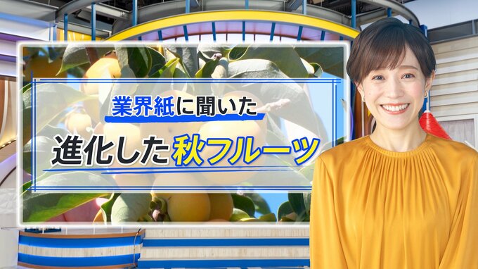 甘っ！ヤバっ！小っちゃ！タネなし皮ごとOKの「ミニフルーツ」が今秋ブレイク中【THE TIME,】 |TBS NEWS DIG