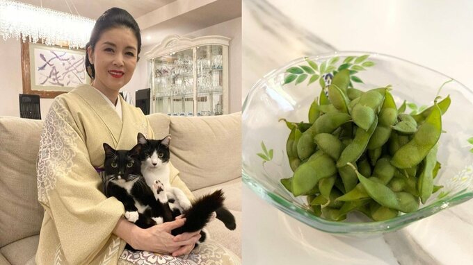 【 ねこ 】藤あや子さんの愛猫・マルが枝豆をご相伴「お気に入りでーす」　猛暑の最中に「枝豆パワーで打ち勝つぞ」|TBS NEWS DIG