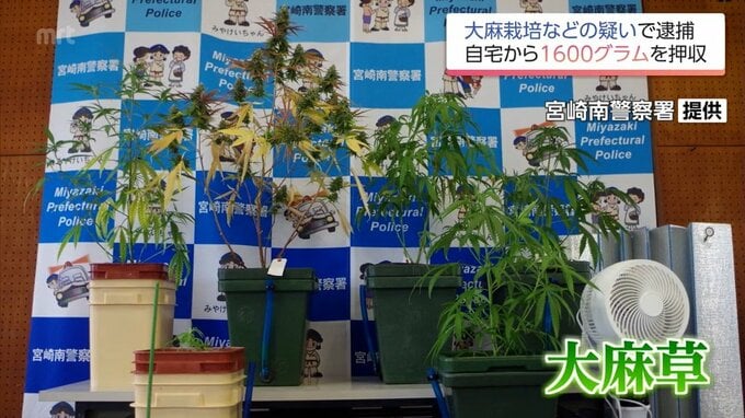 末端価格800万円余の大麻1621gも押収　大麻を栽培・所持したり譲り渡した疑い　宮崎県内在住の男6人を逮捕|TBS NEWS DIG