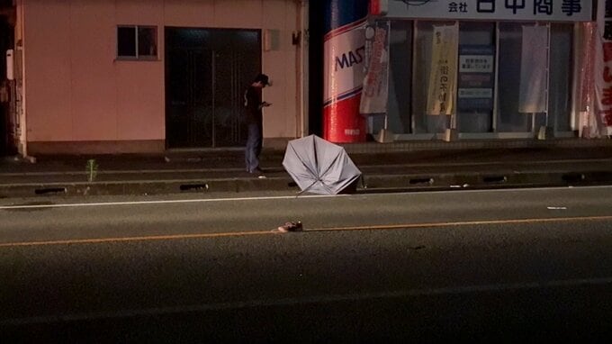 延岡市で大型トラックが歩行者をはねる事故　79歳の女性が死亡|TBS NEWS DIG