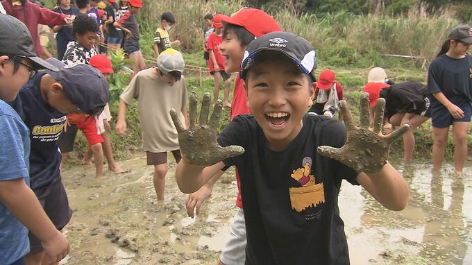 「こんなに汚れると思わなかった！」小学生たちが無農薬の米作りを体験|TBS NEWS DIG