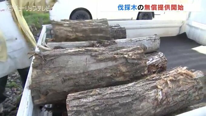 橋の下に長い車列　その先にあるのは…富山・射水市で伐採木の無償提供「買ったら高いからね」１人３０本までＯＫ　|TBS NEWS DIG