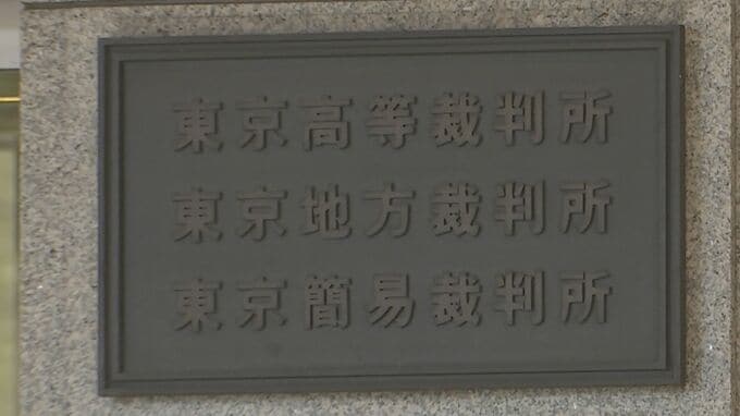 【速報】今年7月の参院選「1票の格差」訴訟　東京高裁が「合憲」判決　最大3.13倍で選挙無効求め弁護士グループが全国で提訴|TBS NEWS DIG