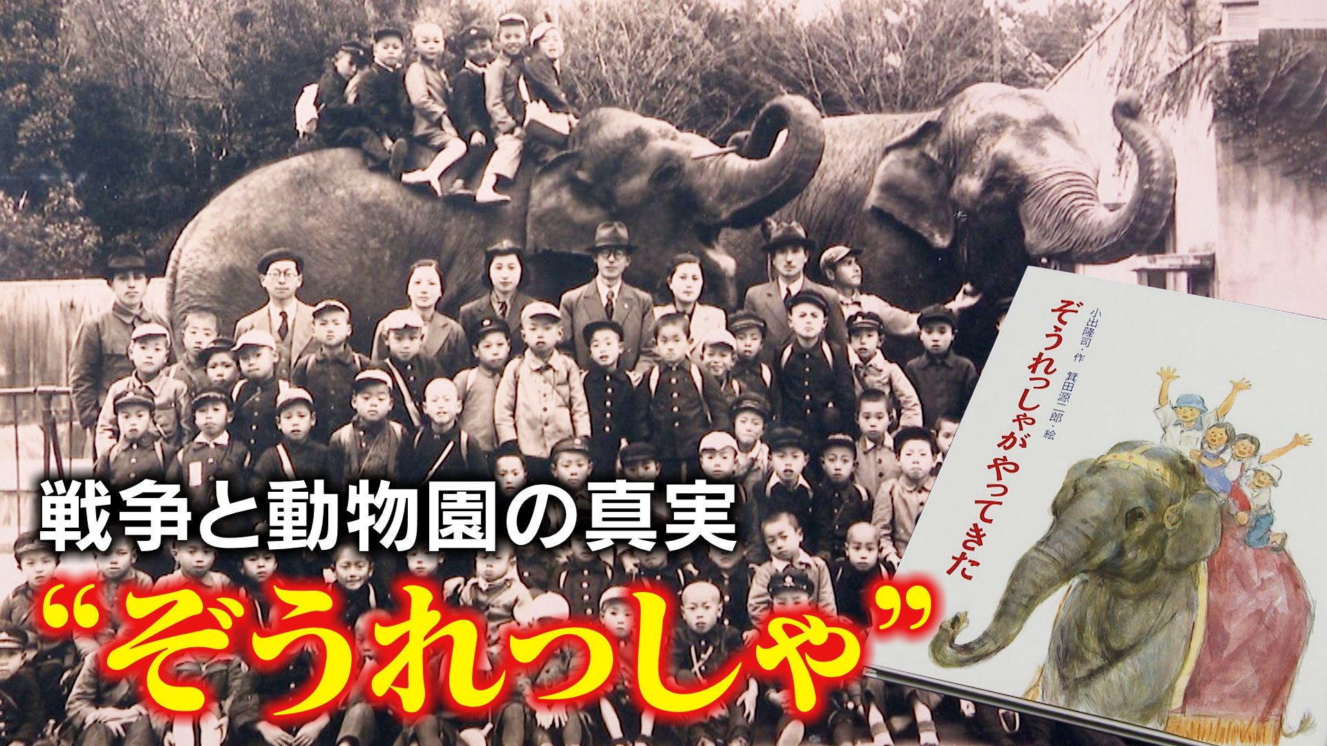 戦時中の動物園に殺処分命令…生き残った“奇跡のゾウ”の物語　絵本「ぞうれっしゃ」が伝える史実