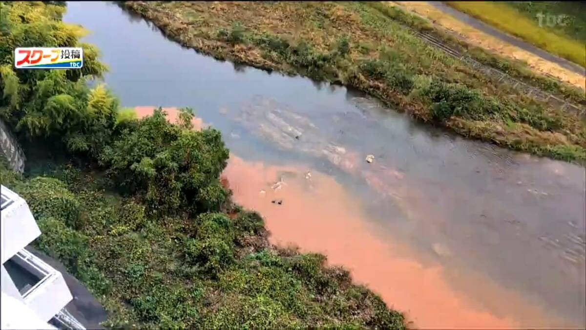 img_bdd617ffa6f4c73609ea73ae82