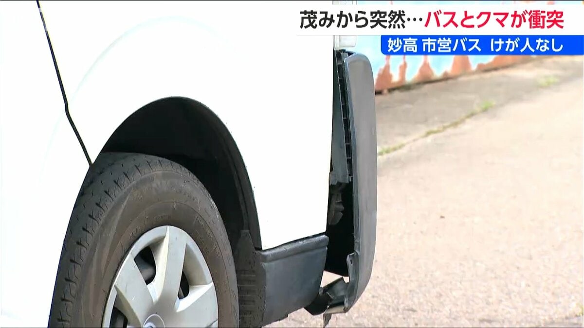 サムネイル_「本当にブレーキを踏む余裕がない状態」クマと市営バスが衝突 バンパーは浮き上がり車体は大きくへこむ 新潟県妙高市
