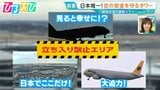 立ち入り禁止エリアにも入れる!今が狙い目「裏側ツアー」成田空港や国立競技場で激レア体験【ひるおび】|TBS NEWS DIG