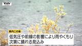 真夏日から一転…庄内で最大瞬間風速23.7メートル 雨風で気温低下 山形は最高気温14度予想(山形) | 山形のニュース│TUYテレビユー山形