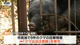 市街地での目撃 1週間で9件 山形県内に「クマ出没注意報」発令 | 山形のニュース│TUYテレビユー山形
