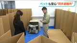 「ストレスを少しでも減らせるよう…」ペットも飼い主も安心 一緒に過ごせる“同伴避難所”設置 新潟・西区【能登半島地震】|TBS NEWS DIG