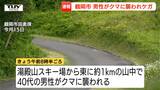 タケノコ取り中にクマが腰をガブリ...鶴岡市で40代男性がケガ　クマの親子を発見→向かってきた子グマに襲われる（山形・鶴岡市）　|TBS NEWS DIG