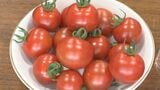 甘いトマトの売上の一部を島根県のがん対策に　生産する企業と販売するスーパーが連携　|　BSSニュース | BSS山陰放送