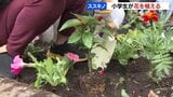 札幌・ススキノのまちをきれいに!「ススキノ未来プロジェクト」国道36号沿いの花壇に小学生が400株の花植える|TBS NEWS DIG