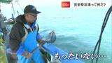 「海も家庭もハッピーに」漁師も究極の働き方改革 注文を受けた分だけ「完全受注漁」とは?儲かるの?|TBS NEWS DIG