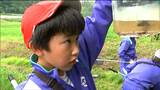 「ちょっと興奮した」小学生が田んぼの生き物を観察　地元の自然の豊かさを実感　宮城・南三陸町|TBS NEWS DIG