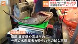 台湾総統選挙直前にまた「アメとムチ」　中国が台湾産高級魚「ハタ」の輸入一部再開|TBS NEWS DIG