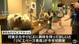 狩猟とジビエを楽しんで!ジビエマルシェが青森県弘前市で初開催|TBS NEWS DIG