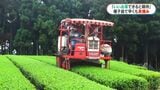 種子島で日本一早い新茶の摘み取りスタート「ことしもいい茶ができると期待」|TBS NEWS DIG