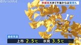 午後は雷雨も　低気圧通過で天気急変　次第に冬型の気圧配置に　冬の訪れ前にイチョウ色づく　富山|TBS NEWS DIG