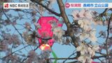 【動画】長崎市の桜の名所 立山公園から中継「初めて子どもと花見ができた」桜情報(29日現在) | 長崎のニュース | 天気 | NBC長崎放送