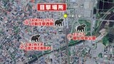 クマ目撃多発 けさ警察が警戒する中で児童が登校(山形・新庄市) | 山形のニュース│TUYテレビユー山形