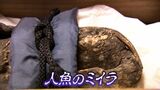 【密着1年!徹底解説】寺に眠る “人魚のミイラ” 解明プロジェクト ついに最先端技術が謎を解き明かした その正体は?調査結果を最終報告【岡山】|TBS NEWS DIG