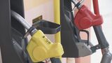 レギュラーガソリン、半年ぶり175円台に 前週より3円以上値下がり 福島・4日発表 | 福島のニュース│TUF