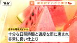 今年の出来は最高！尾花沢すいかの出荷がスタート　キリっと冷やした甘いすいかで、夏の暑さも吹き飛ばせ！（山形）　|　山形のニュース│TUYテレビユー山形