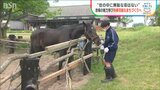 「世の中には無駄な命がない」馬の世話を通して中学生が考える地域の魅力と“持続可能な街づくり”とは　胎内市|TBS NEWS DIG