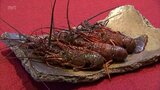 延岡市で東九州伊勢えび海道・伊勢えび祭りはじまる|TBS NEWS DIG